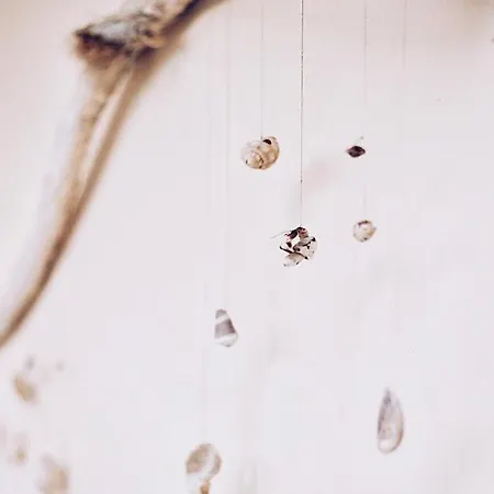 Bamboo House Appartement