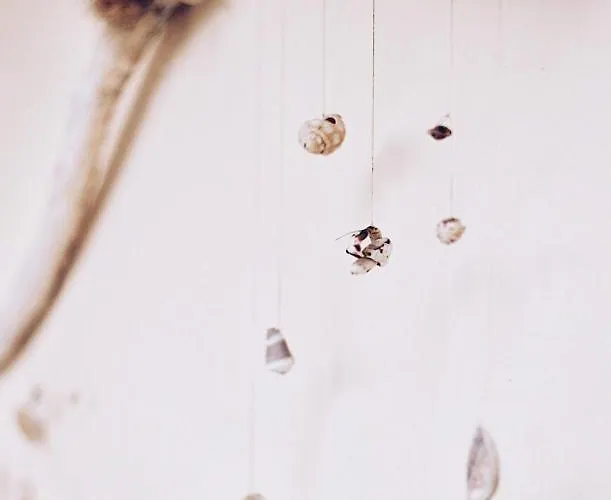 Bamboo House Appartamento